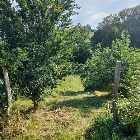 Vakantiehuis Charmante Yourte Contemporaine *