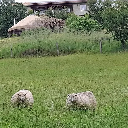 Charmante Yourte Contemporaine