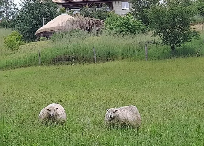 Charmante Yourte Contemporaine